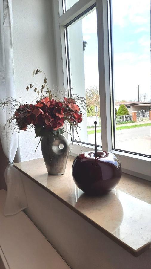 Ferienwohnung Czampiel Гафельберґ Екстер'єр фото